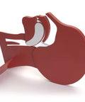 Model Secțiune Cap
