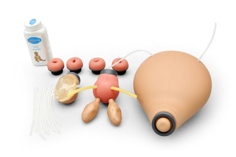 Simulator ginecologic