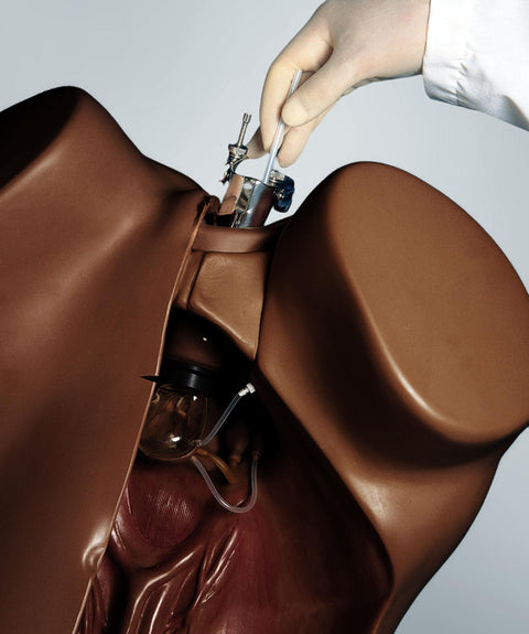 Simulator ginecologic, piele închisă la culoare