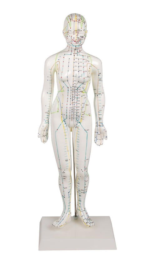 Figură pentru acupunctură chineză, femeie