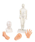 Set acupunctură chineză, 5 modele