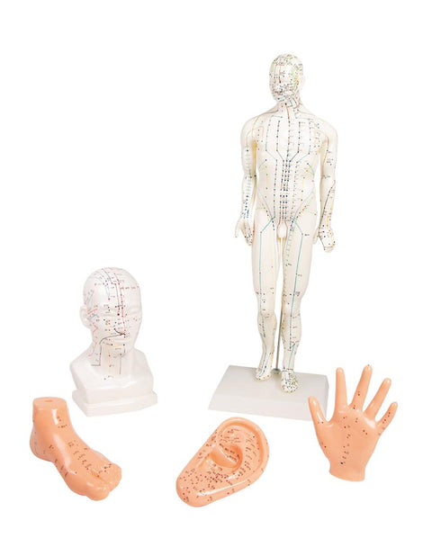Set acupunctură chineză, 5 modele