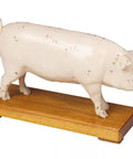 Porc de acupunctură
