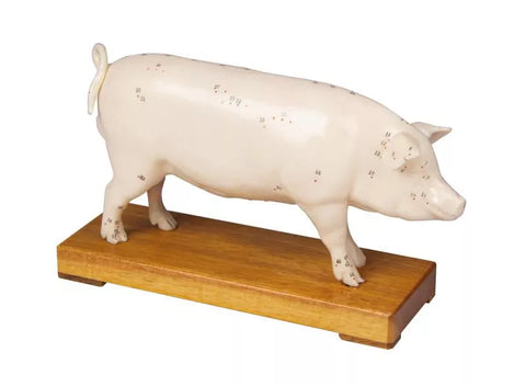 Porc de acupunctură