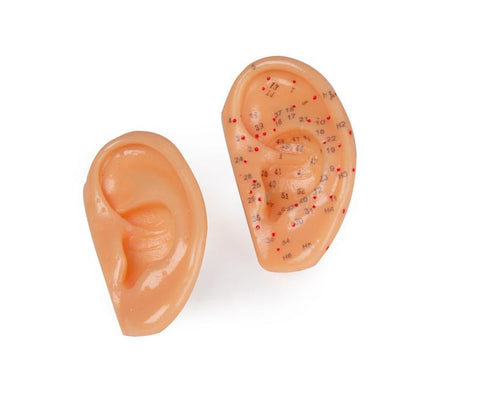 Acupuncture ears, natural size, 2-item set