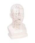 Cap de acupunctură chinez