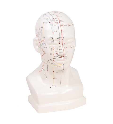Cap de acupunctură chinez