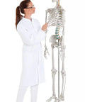 Schelet didactic "Oscar"