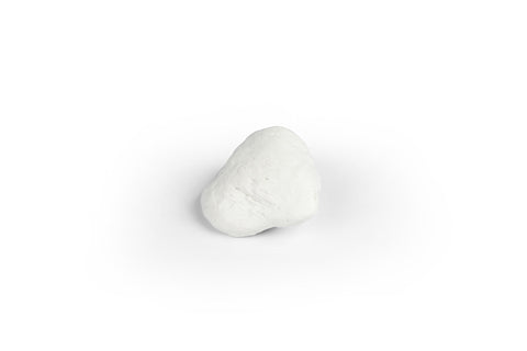 Rotulă (osul genunchiului)