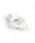 Vertebre individuale (C1 la L5)