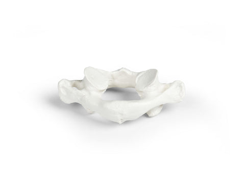 Vertebre individuale (C1 la L5)