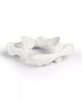 Vertebre individuale (C1 la L5)