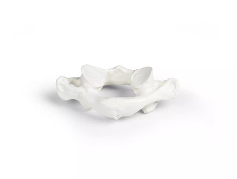 Vertebre individuale (C1 la L5)