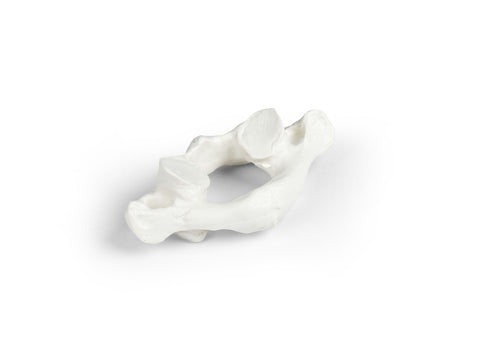 Vertebre individuale (C1 la L5)