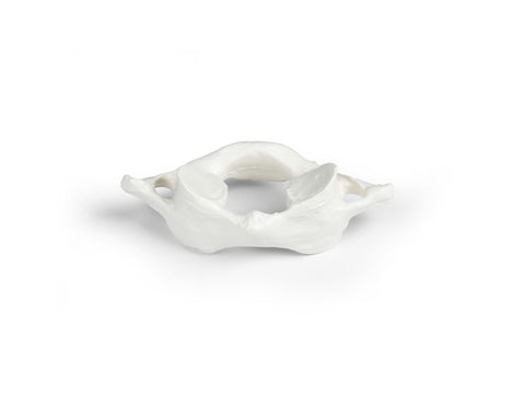 Vertebre individuale (C1 la L5)