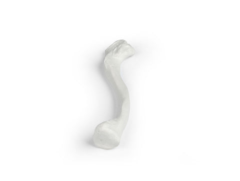 Claviculă