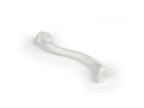 Claviculă
