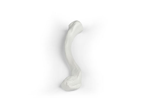 Claviculă