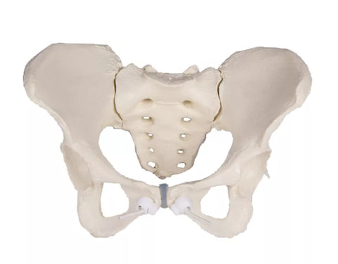 Bazin feminin, flexibil