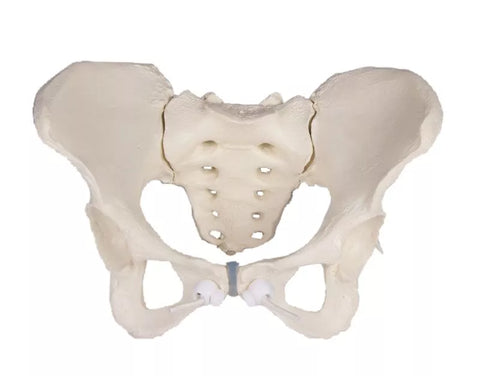 Bazin feminin, flexibil