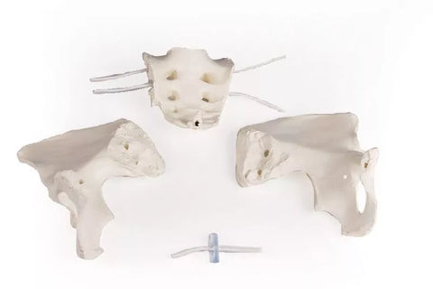 Bazin feminin, flexibil