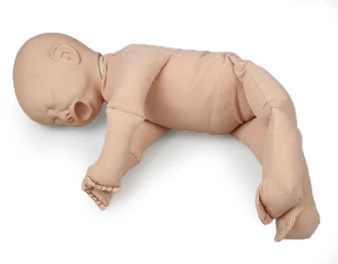 Pelvis feminin cu păpușă făt și placentă