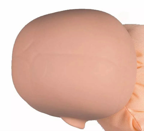Pelvis feminin cu păpușă făt și placentă