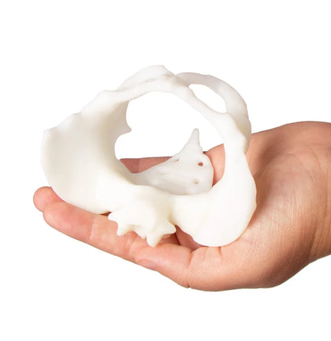 Mini bazin cu păpușă pentru naștere