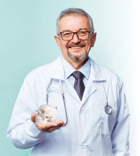 Craniu miniatură, 3 piese cu suport