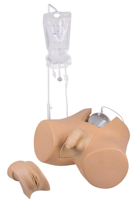 Simulator de cateterizare cu insert genital masculin "Henri" și insert genital feminin "Florence"