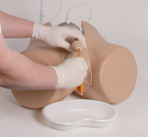 Simulator de cateterizare cu insert genital masculin "Henri" și insert genital feminin "Florence"
