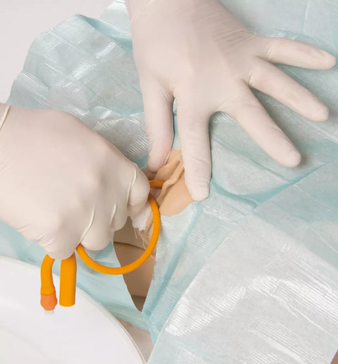 Simulator cateterizare vezică Florence, versiune feminină