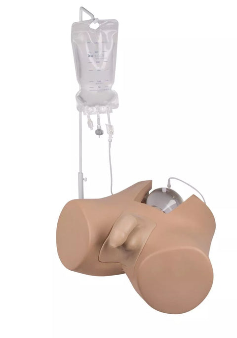 Simulator Cateterizare Vezică Henri, versiune bărbat