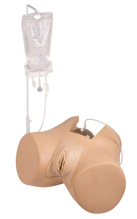 Simulator cateterizare vezică Florence, versiune feminină