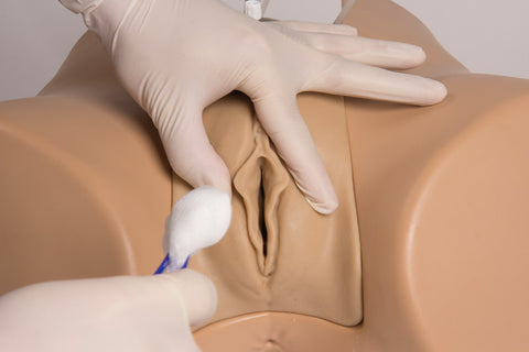 Simulator cateterizare vezică Florence, versiune feminină