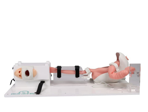 Simulator EGD