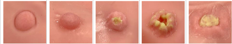 Simulator EGD