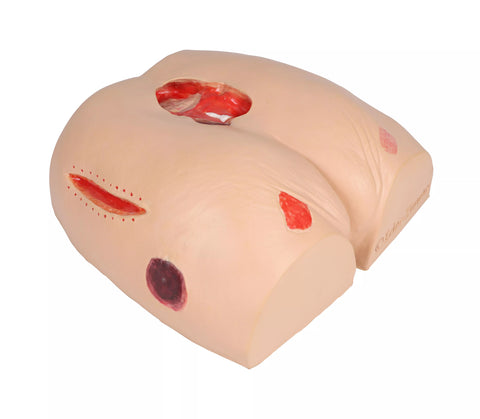 „Decubitus Dan" - simulator de îngrijire și pansament