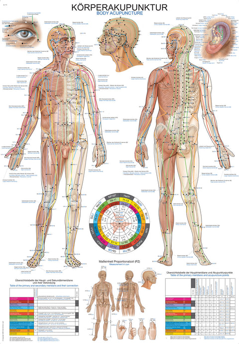 Planșă Acupunctură corporală, 70x100 cm