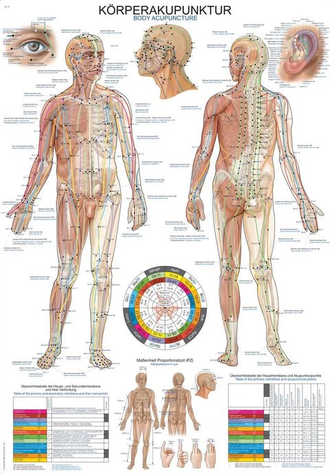 Planșă acupunctura corpului, 50x70 cm
