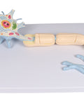 Neuron, mărime 3000x, 2 piese