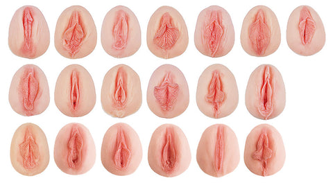 Vulva-Casts showing antomical differences