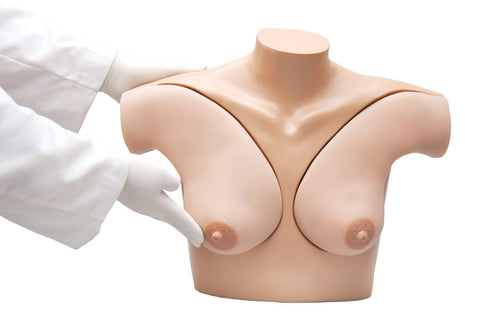 Simulator autoexamen sân