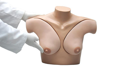 Simulator autoexamen sân