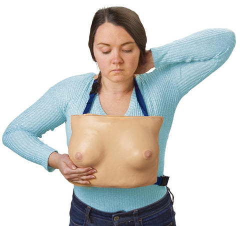 Model sân