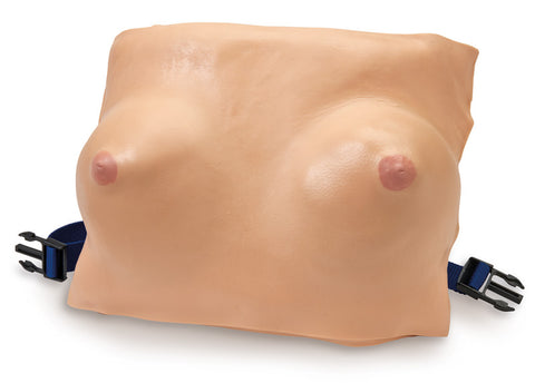 Model sân