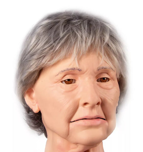 Simulator TERI Patient Îngrijire Pacient Geriatric Androgen