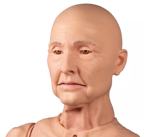 Simulator TERI Patient Îngrijire Pacient Geriatric Androgen