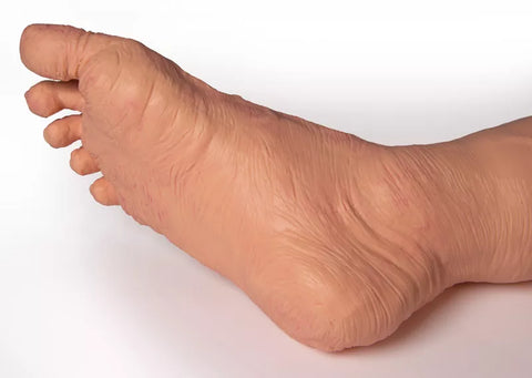 Simulator TERI Patient Îngrijire Pacient Geriatric Androgen