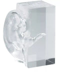 Model transparent urechii